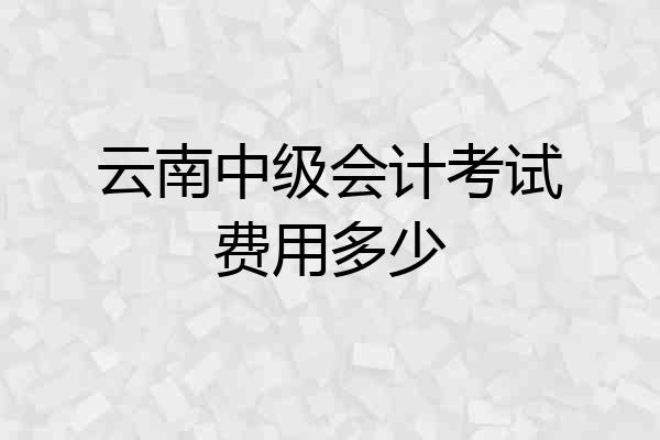 云南中级会计考试费用多少