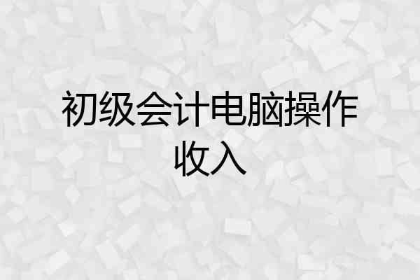 初级会计电脑操作收入