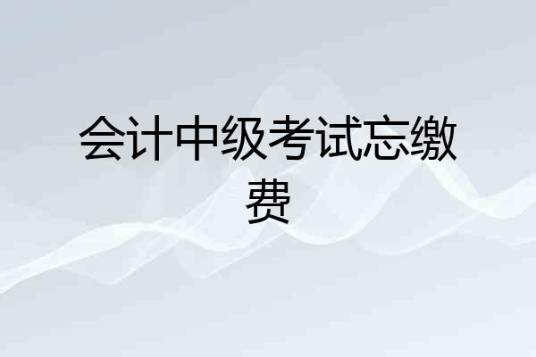 会计中级考试忘缴费