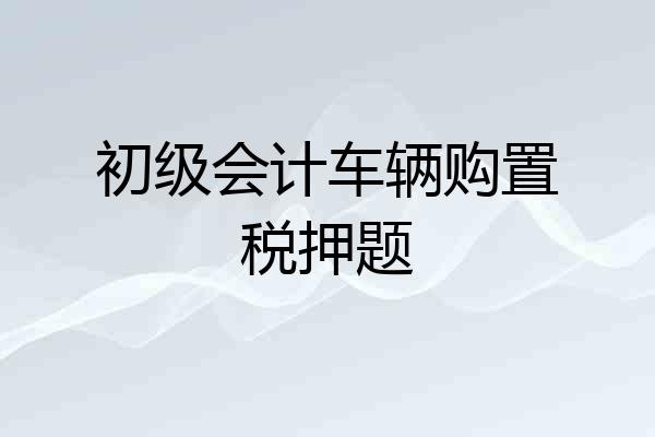 初级会计车辆购置税押题