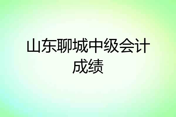 山东聊城中级会计成绩