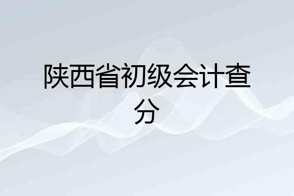 陕西省初级会计查分