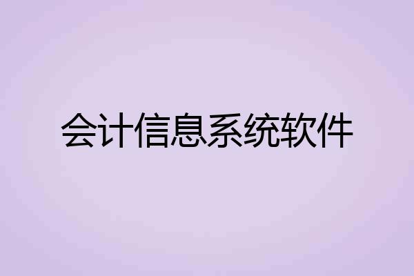 会计信息系统软件