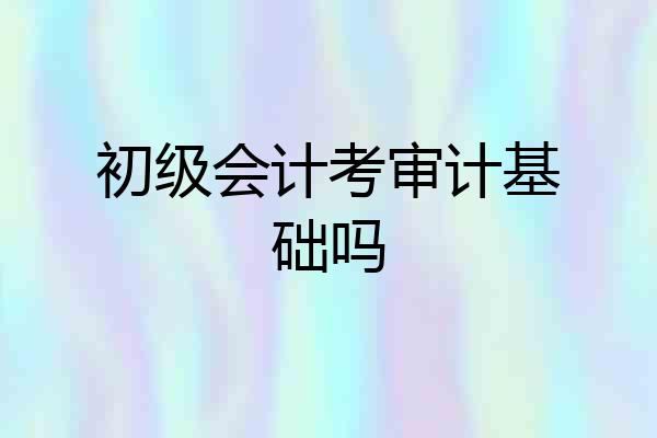 初级会计考审计基础吗
