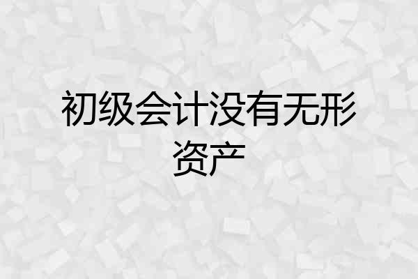 初级会计没有无形资产