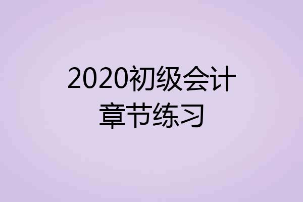 2020初级会计章节练习