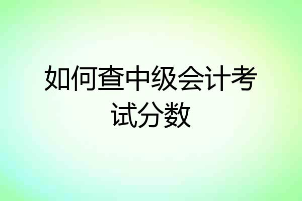 如何查中级会计考试分数
