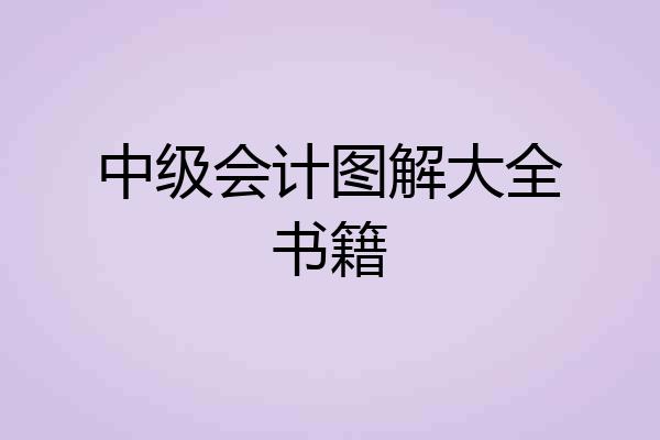 中级会计图解大全书籍