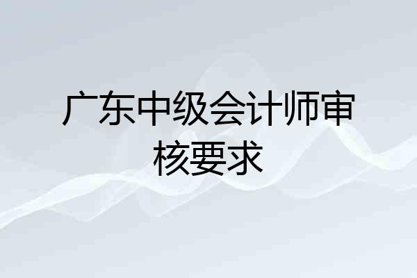 广东中级会计师审核要求