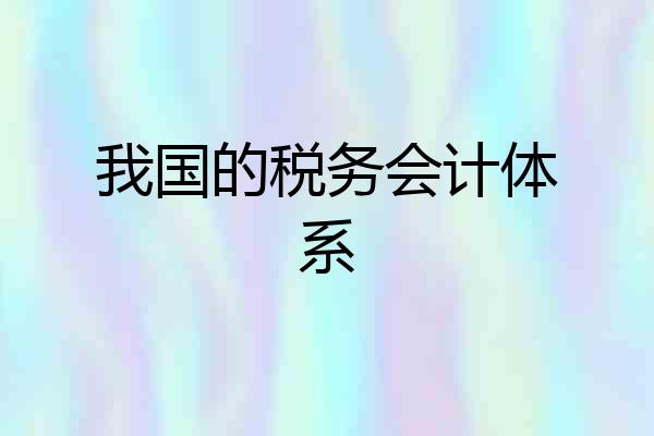 我国的税务会计体系
