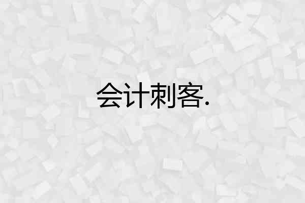 会计刺客.