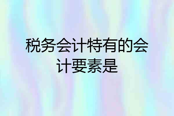 税务会计特有的会计要素是