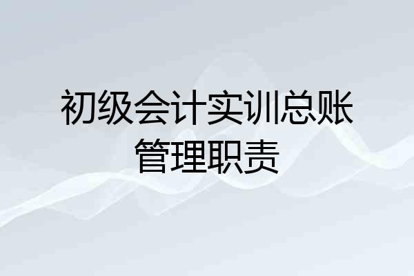 初级会计实训总账管理职责