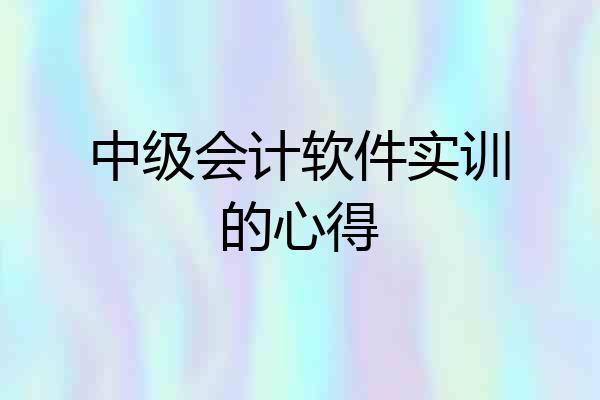 中级会计软件实训的心得