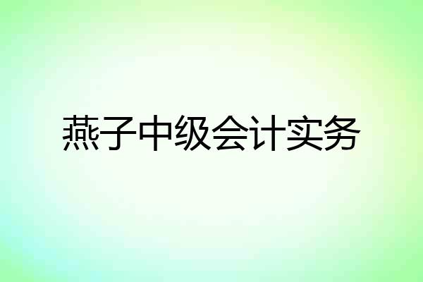 燕子中级会计实务