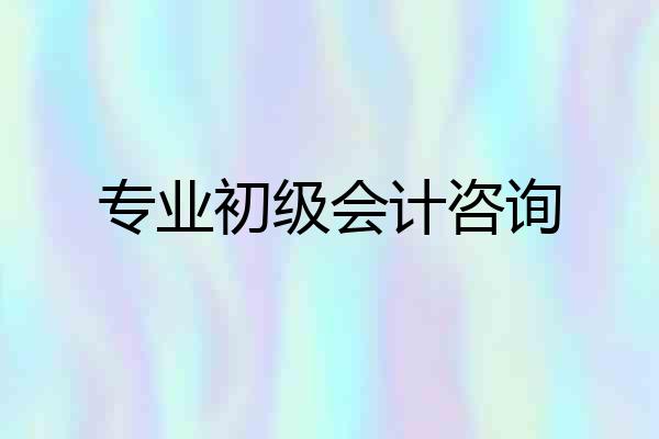 专业初级会计咨询