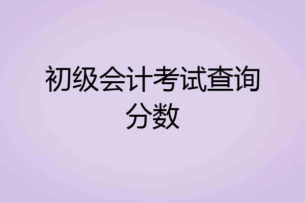 初级会计考试查询分数