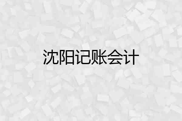 沈阳记账会计