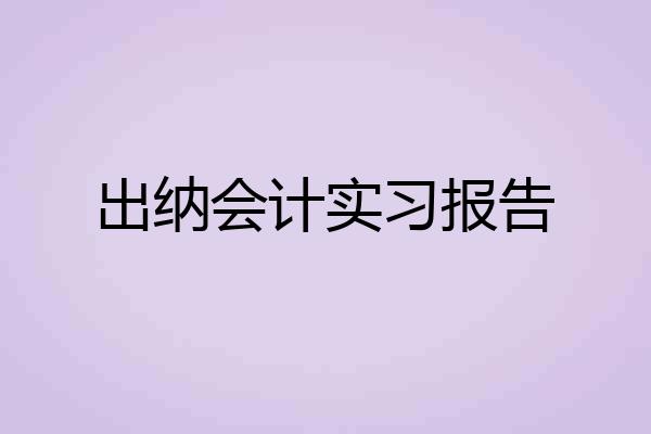 出纳会计实习报告