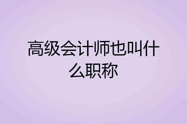 高级会计师也叫什么职称