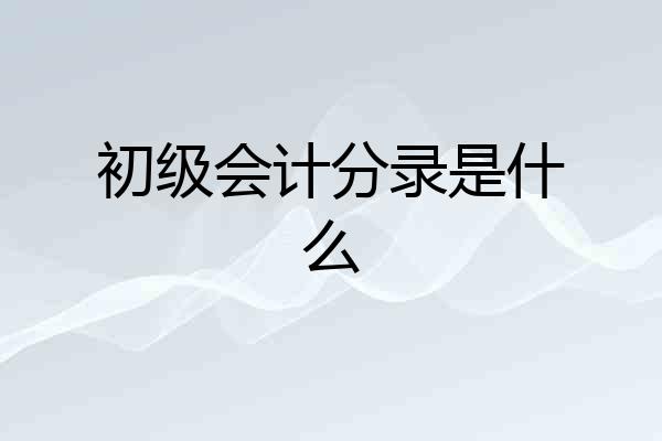 初级会计分录是什么