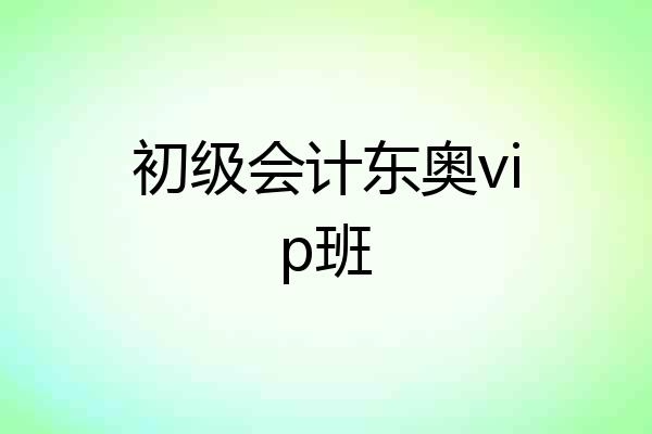 初级会计东奥vip班