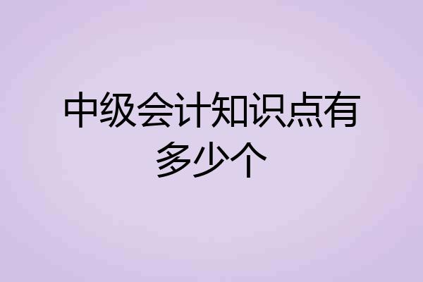 中级会计知识点有多少个