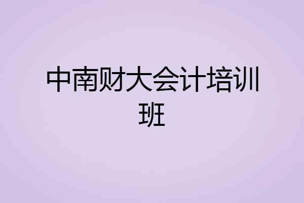 中南财大会计培训班
