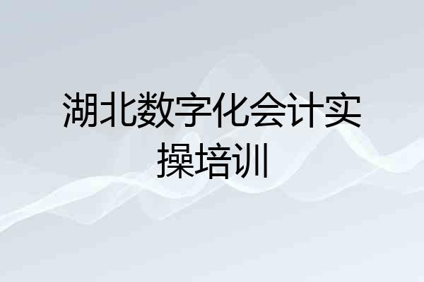 湖北数字化会计实操培训