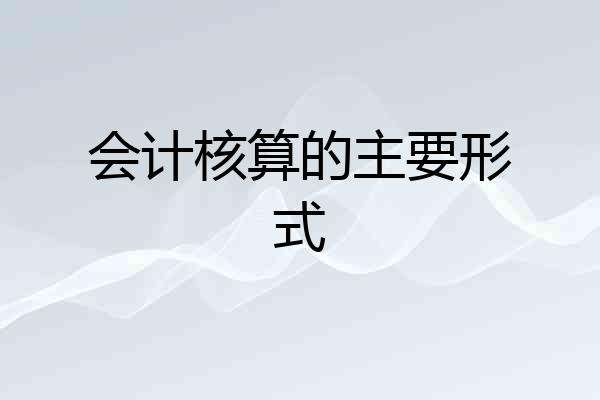 会计核算的主要形式