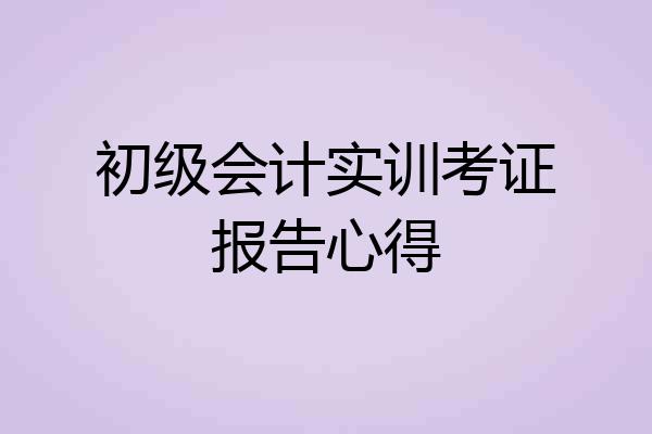 初级会计实训考证报告心得