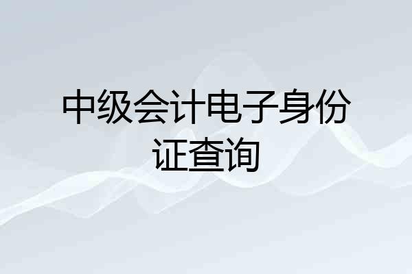 中级会计电子身份证查询