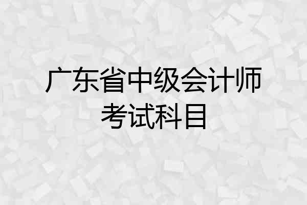 广东省中级会计师考试科目