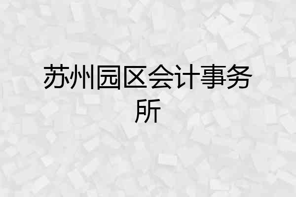 苏州园区会计事务所