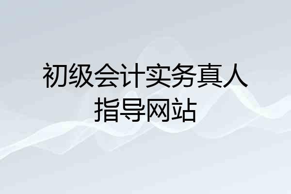 初级会计实务真人指导网站