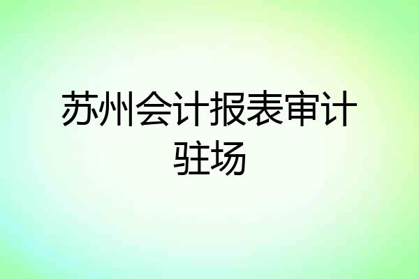 苏州会计报表审计驻场