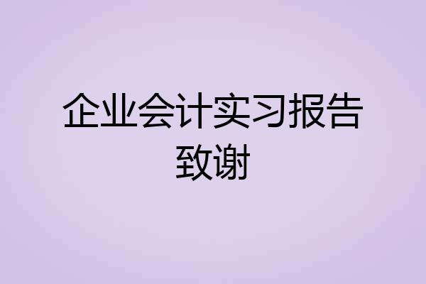 企业会计实习报告致谢