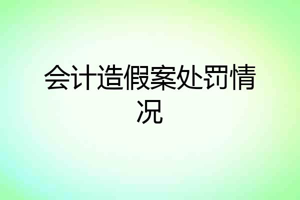 会计造假案处罚情况