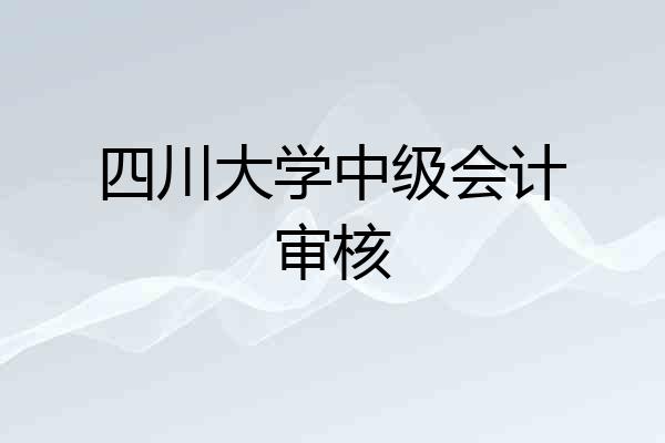 四川大学中级会计审核