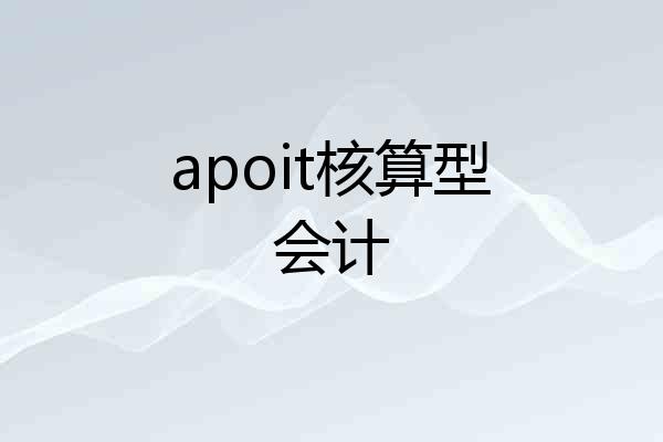 apoit核算型会计