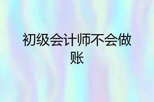 初级会计师不会做账