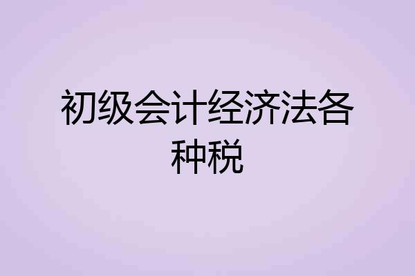 初级会计经济法各种税