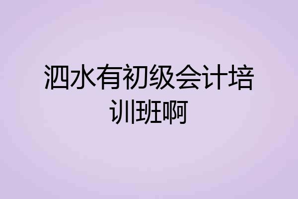 泗水有初级会计培训班啊