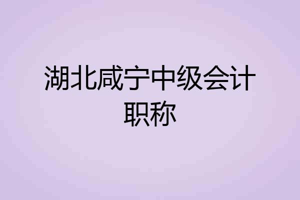 湖北咸宁中级会计职称