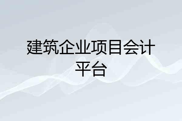 建筑企业项目会计平台