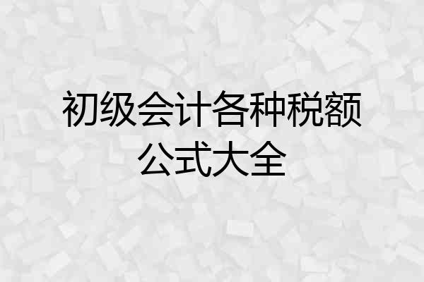 初级会计各种税额公式大全