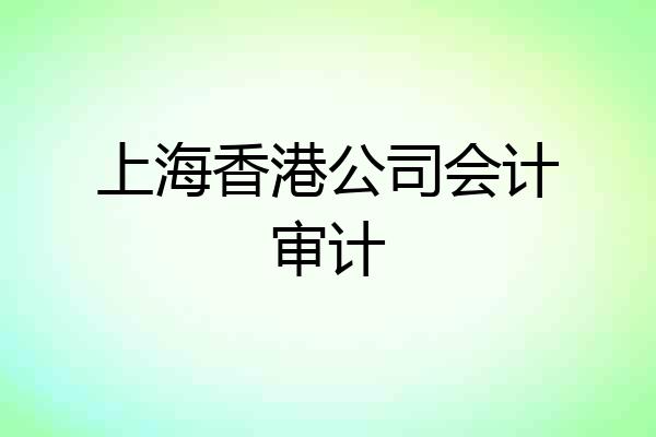 上海香港公司会计审计