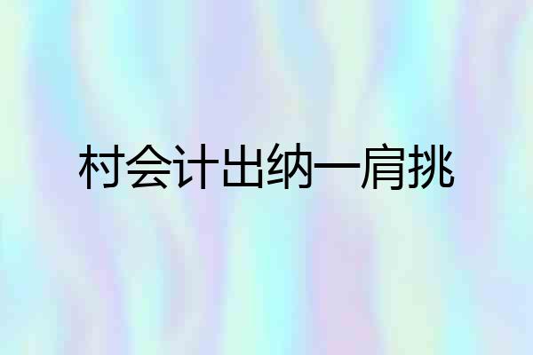 村会计出纳一肩挑