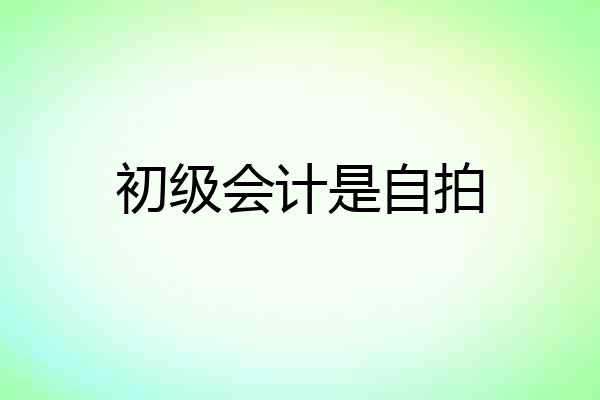 初级会计是自拍