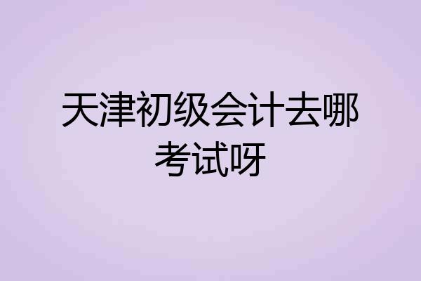 天津初级会计去哪考试呀